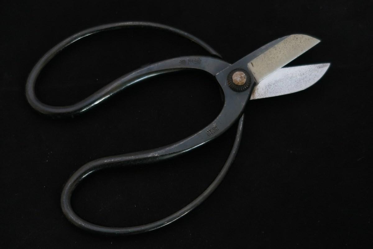Japanese flower and household scissors